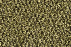 Hamat Ingresso 90 x 150 cm schoonloopmat - Green