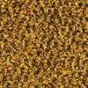 Hamat Ingresso 90 x 150 cm schoonloopmat