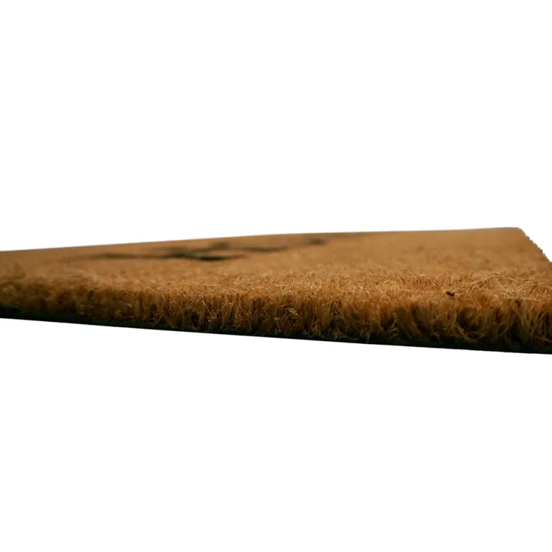 IVOL Home 50 x 80 cm kokos deurmat