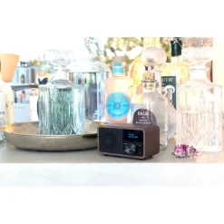 Kathrein DAB+ 1 mini radio
