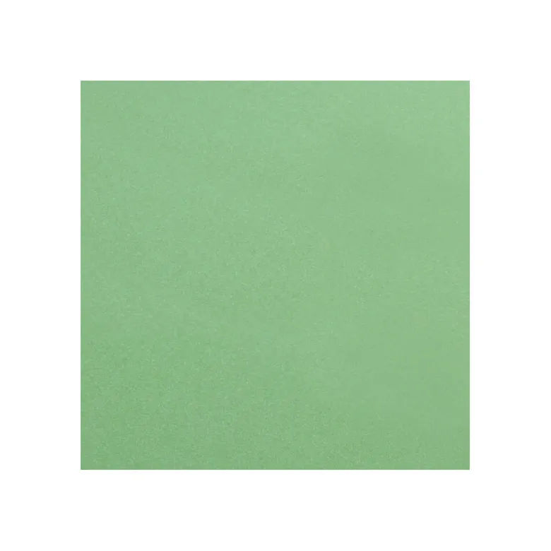 Lampa Pro-Clean Satijn elektronische handdoek - 30 x 40 cm