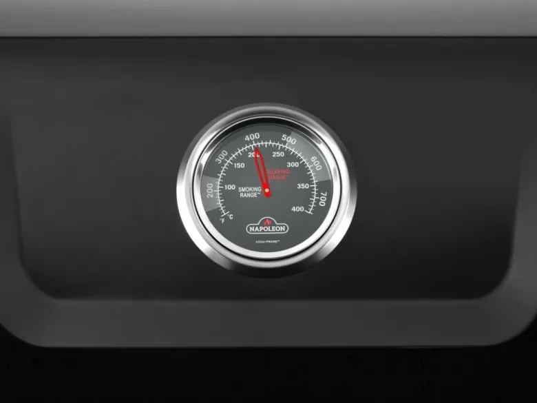 Napoleon Freestyle 365 Black gasbarbecue