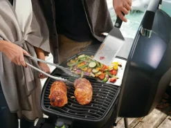 Napoleon TravelQ PRO285 elektrische barbecue - Compleet