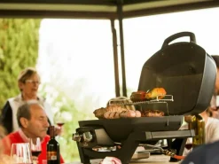 Napoleon TravelQ PRO285 gasbarbecue - Compleet