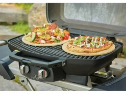 Napoleon TravelQ PRO285X gasbarbecue