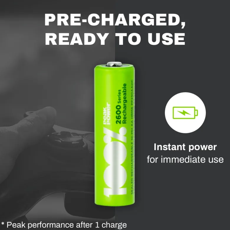 100%PeakPower set van 12 AA Oplaadbare batterijen