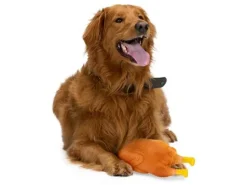 Pet Toys hondenspeelgoed - kalkoen