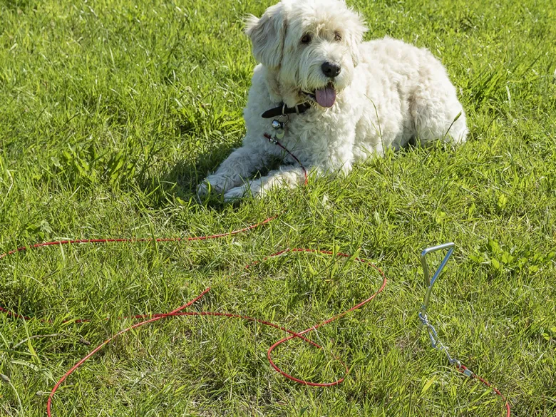 ProPlus aanlegspiraal met kabel