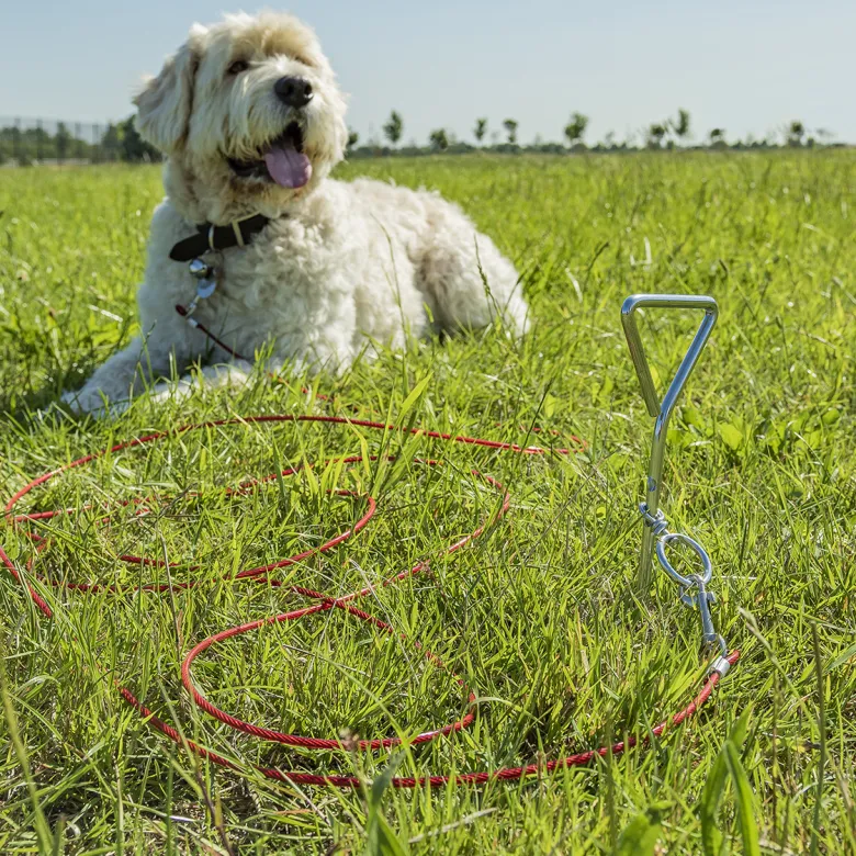 ProPlus aanlegspiraal met kabel