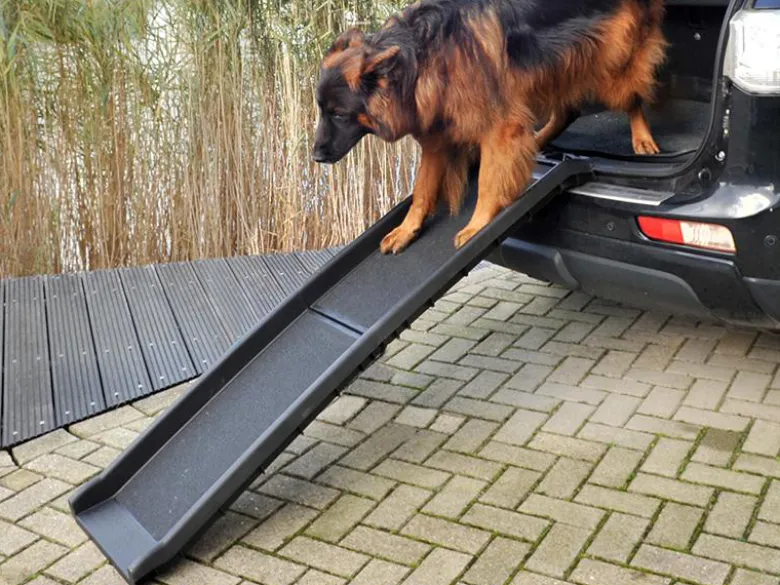 ProPlus hondenloopplank