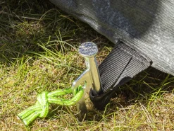 ProPlus Rotspennen Heavy met P haak 30 cm