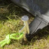 ProPlus Rotspennen Heavy met P haak 40 cm