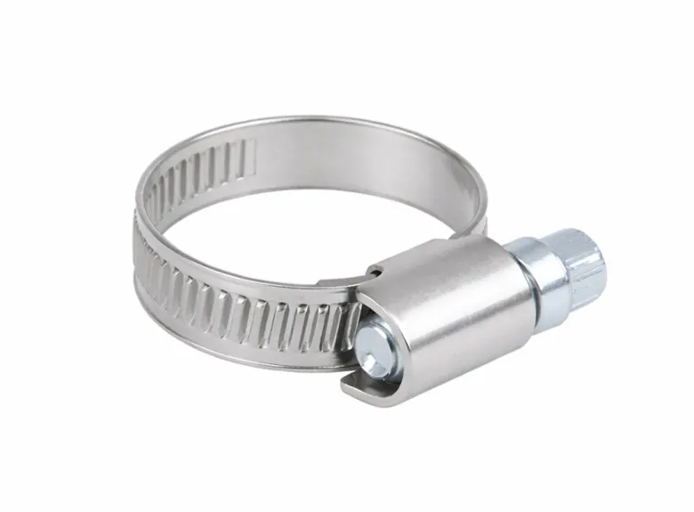 ProPlus RVS slangklem (1x stuks) - 11-22 mm