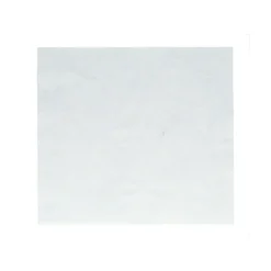 Protecton 34 x 38 cm poetsdoek - Set van 10