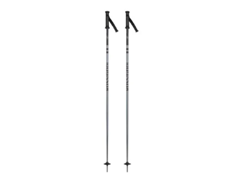 Rossignol Stove Box Grey 120cm skipalen