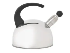 RVS bol fluitketel