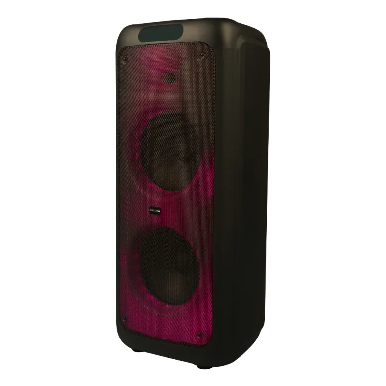 Salora PARTYBOX500 draadloze speaker met LED-verlichting