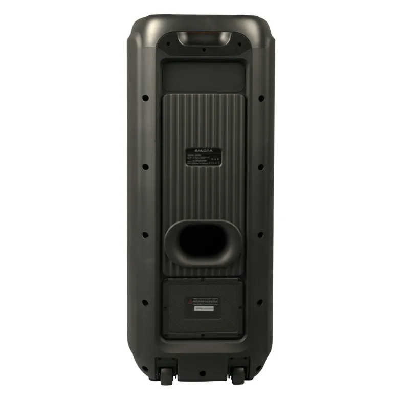 Salora PARTYBOX500 draadloze speaker met LED-verlichting