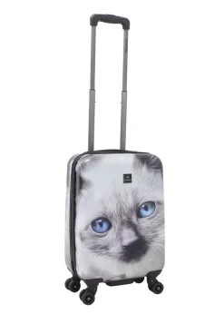 Saxoline White Cat 54 cm reiskoffer
