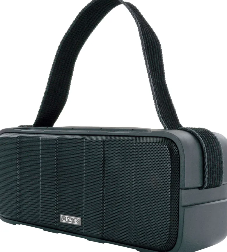 Schwaiger ALD0017 Bluetooth luidspreker