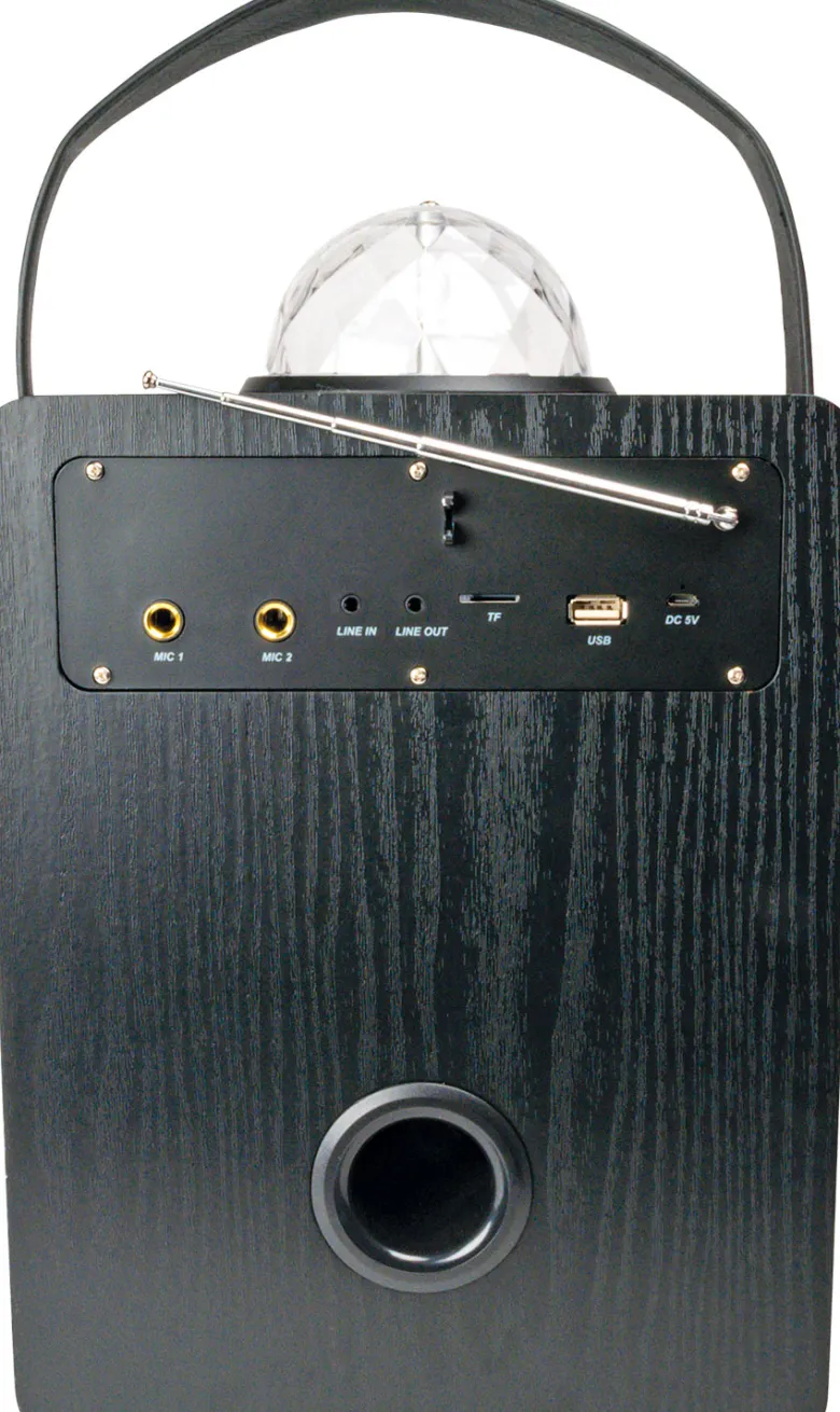 Schwaiger Bluetooth Party luidspreker