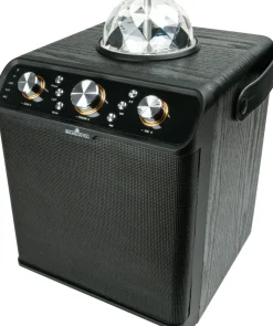 Schwaiger Bluetooth Party luidspreker
