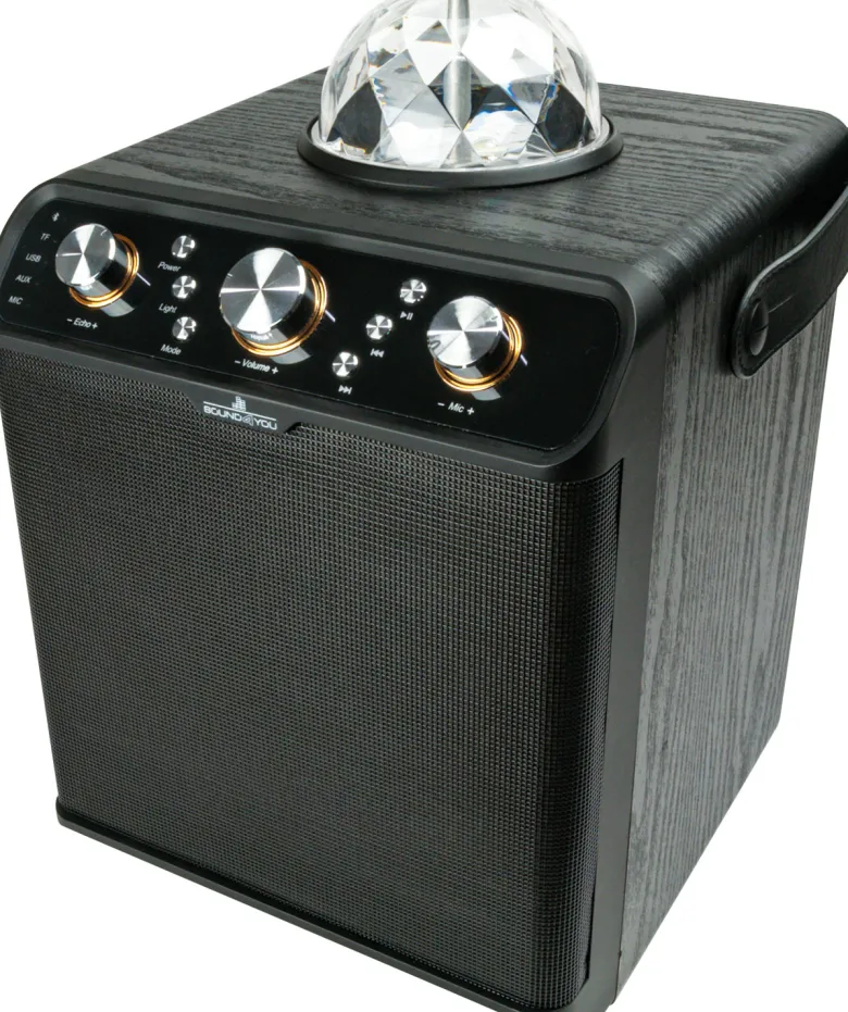 Schwaiger Bluetooth Party luidspreker