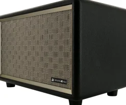 Schwaiger 24 watt retro Bluetooth luidspreker
