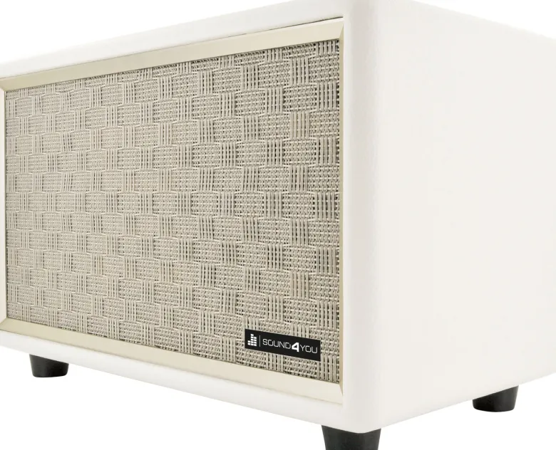 Schwaiger 24 watt retro Bluetooth luidspreker