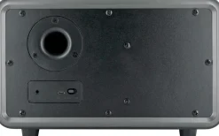 Schwaiger 24 watt stereo Bluetooth luidspreker - Black