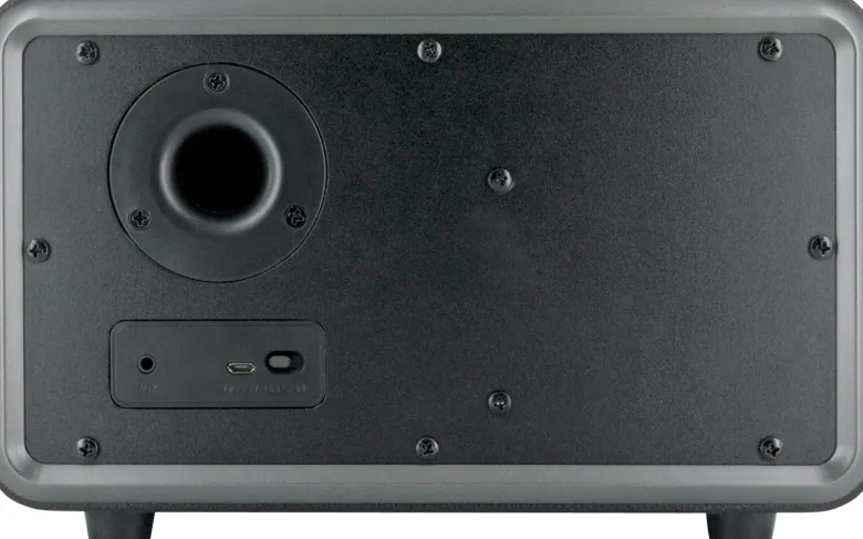 Schwaiger 24 watt stereo Bluetooth luidspreker - Black