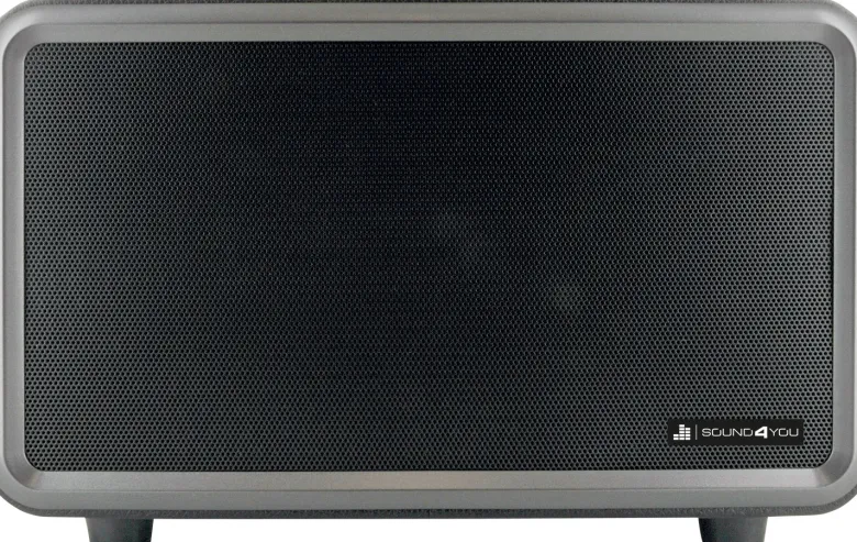 Schwaiger 24 watt stereo Bluetooth luidspreker - Black