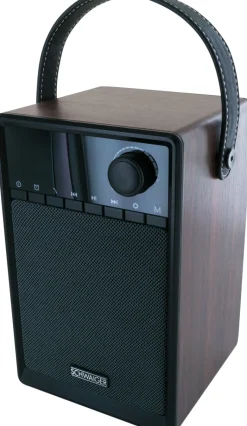 Schwaiger 715736 wekkerradio met powerbank