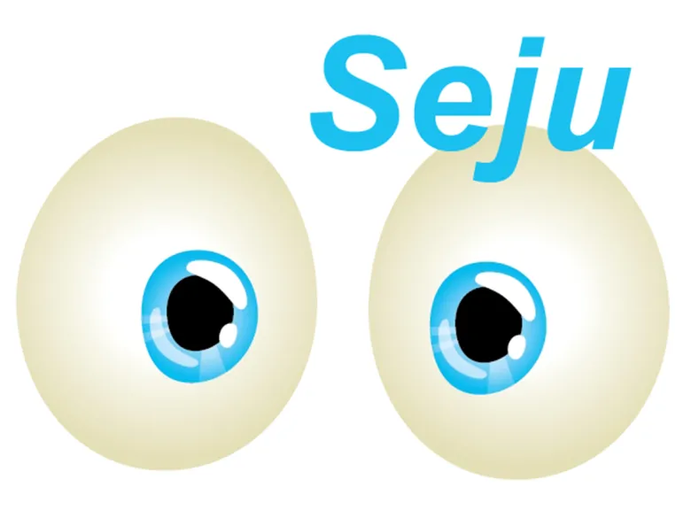 Seju Baby binnenspiegel met zuignap