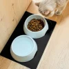 Silwy magnetische porseleinen voerbakjes met matje
