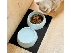 Silwy magnetische porseleinen voerbakjes met matje