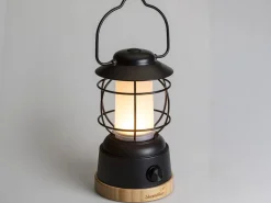 Skandika Kiruna Jord LED retro lamp met powerbank