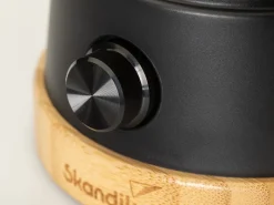 Skandika Kiruna Jord LED retro lamp met powerbank