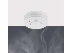 Smartwares rookmelder