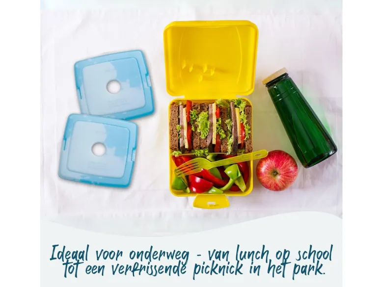 Sunflake Mini Koelelementen - 4 stuks