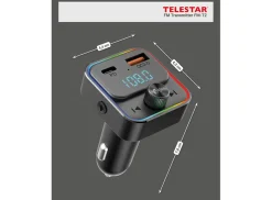 Telestar FM-T2 transmitter