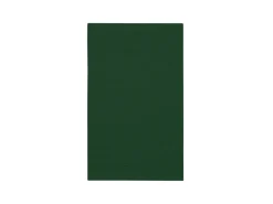 The One Towelling Classic Gastendoek - Green