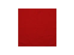 The One Towelling Keukenhanddoek - Red