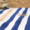 The One Towelling Stripe Handdoek - Navy Blue/Gold