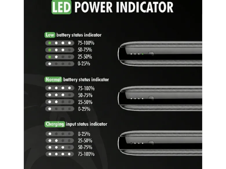 Travelhawk 10000 mAh powerbank