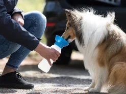 Trixie waterfles met drinkbak