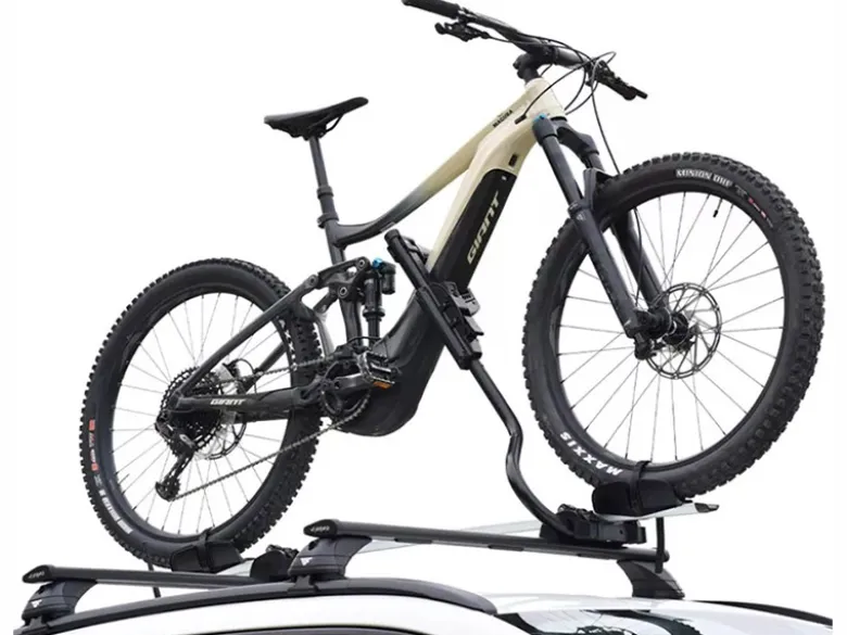 Tweedekans Pesio railfietsdrager
