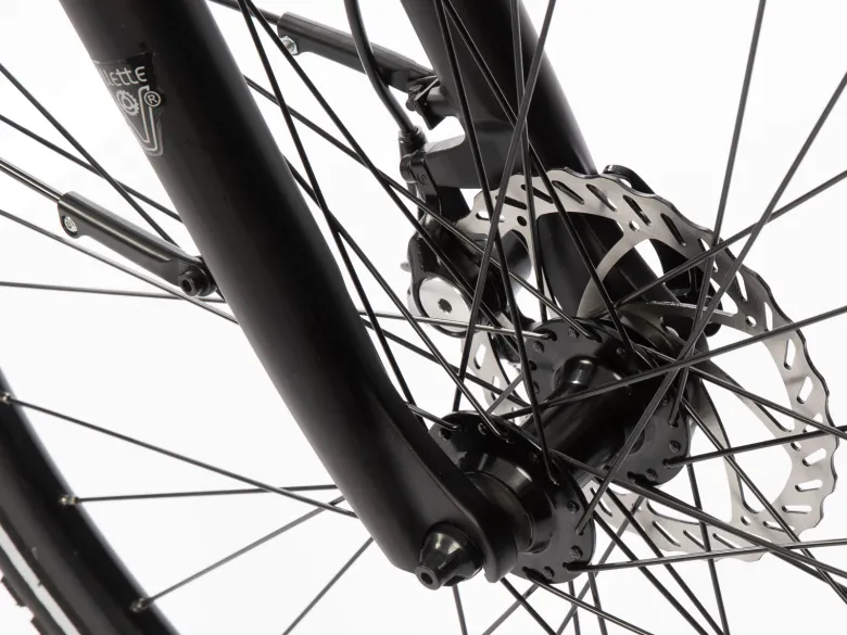 Villette L' Amant 13Ah 2sp 28 inch dames e-bike - Celtic Grey