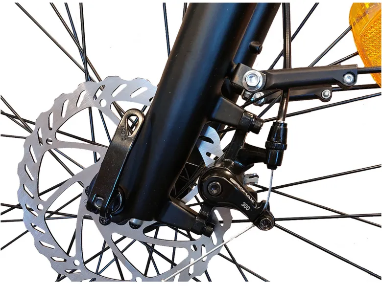 Villette L' Amant Premium elektrische stadsfiets - Black