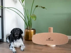Watrflag Balance board 81 Cork Rider